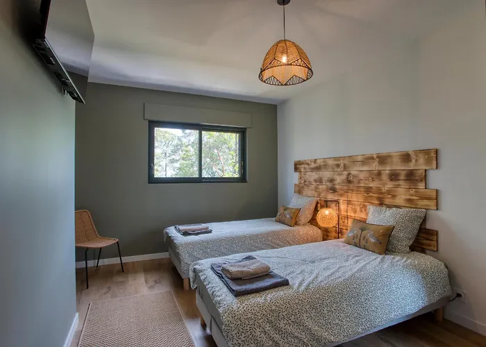 Le Pech Eternel - * 萨尔拉拉卡内达